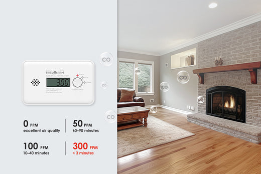 Rilevatore Di Gas E CO WiFi BoundlessBrothers – Con App, Spina EU E Certificazione EN50291