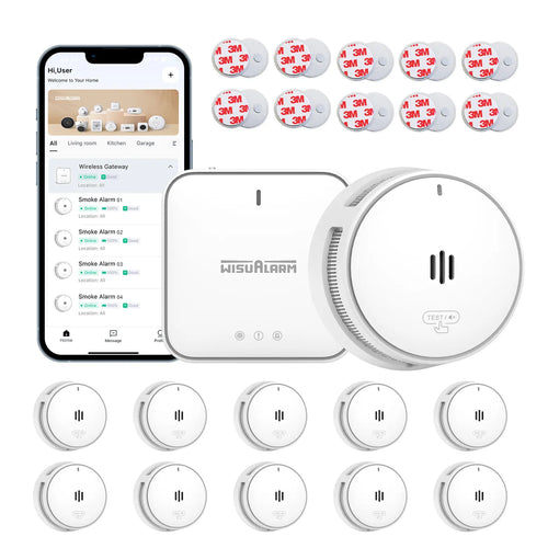 gateway and 10 smoke alarms