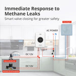 Załaduj obraz do przeglądarki galerii, DHI-HY-GA20A-R8 interlinked gas alarm real-time response