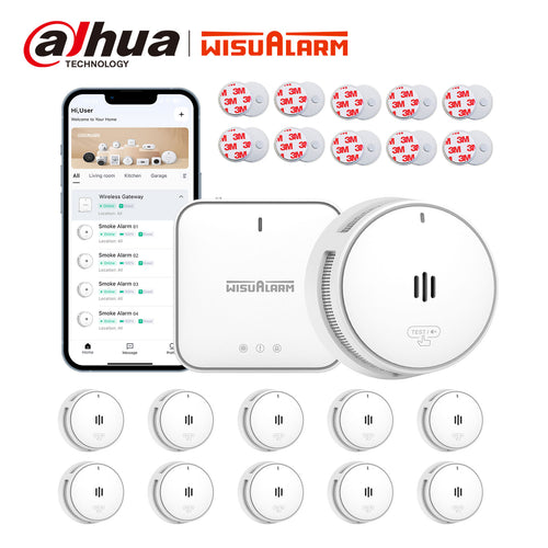 Gateway and 10PC Smoke Alarms