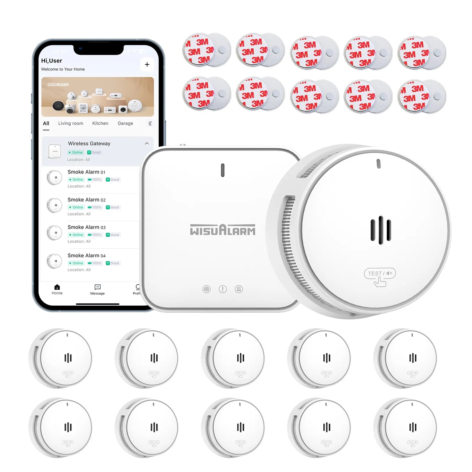 gateway and 10 smoke alarms