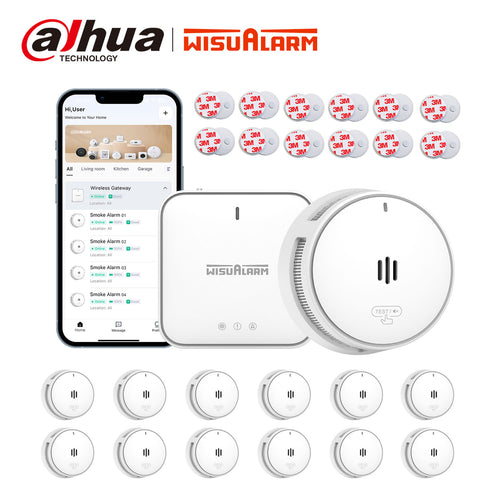 Gateway and 12PC Smoke Alarms