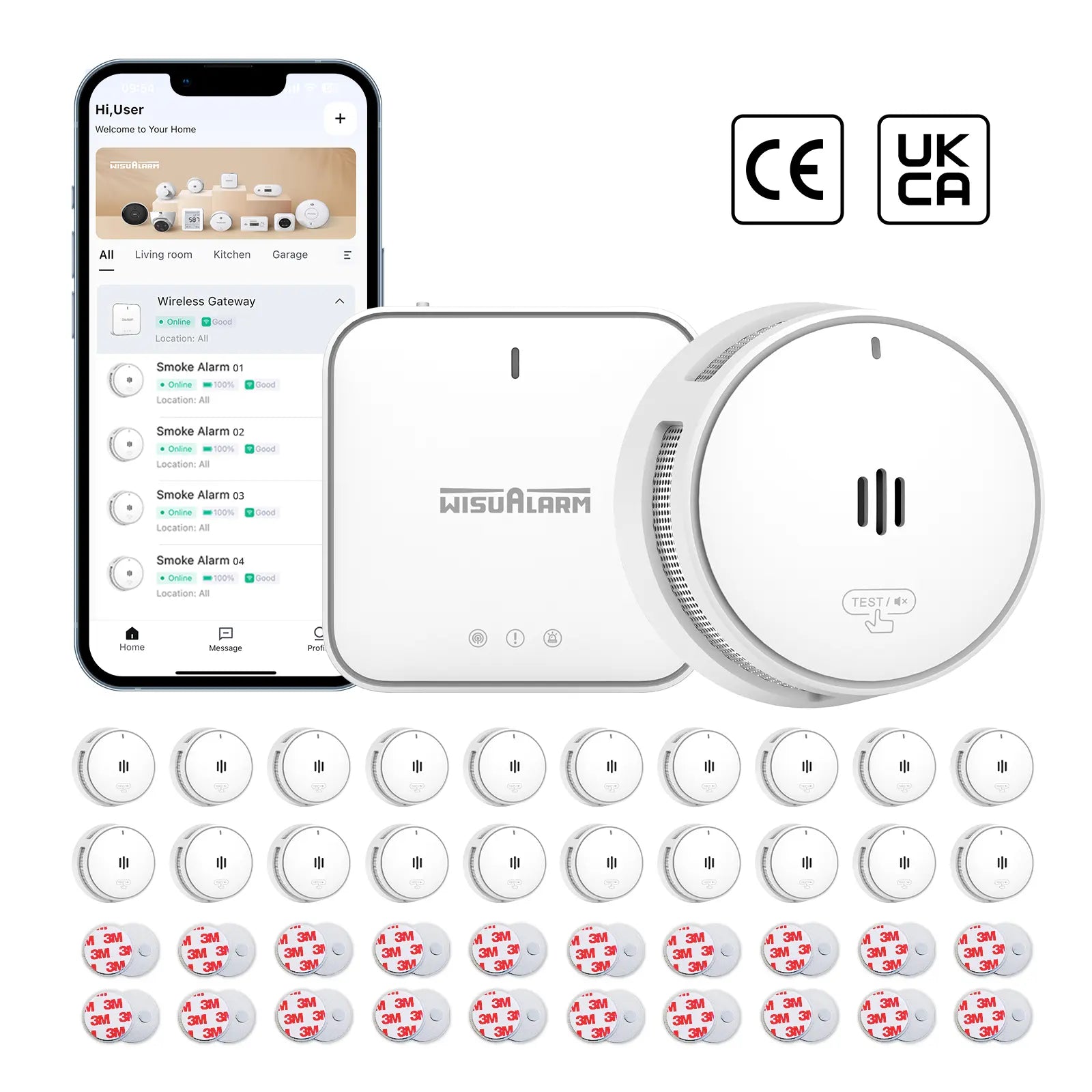 gateway and 20 smoke alarms