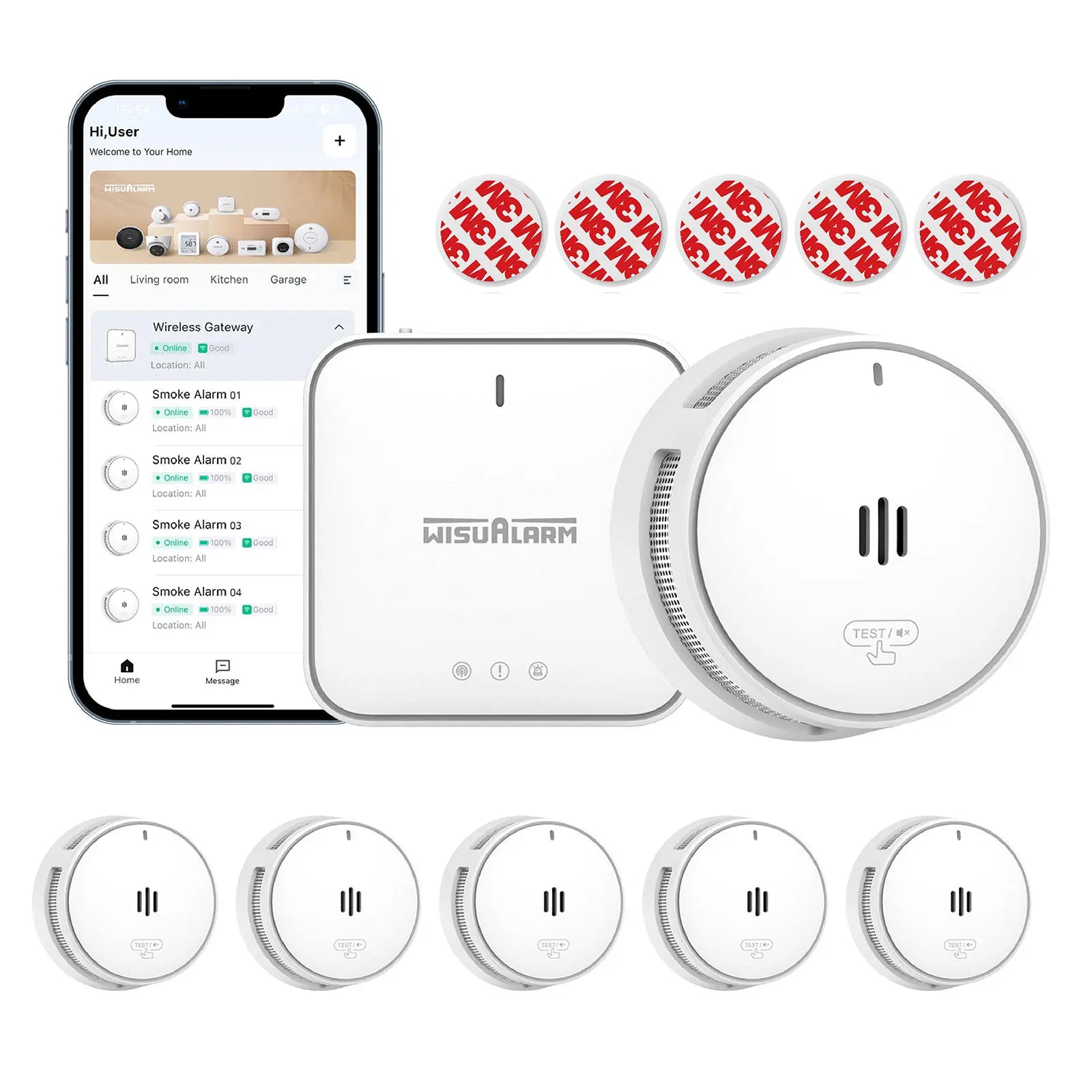 gateway and 5 smoke alarms