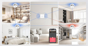 1G5S_interlinked_smoke_alarm_with_base_station_precisely detection