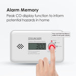 Charger l&#39;image dans la galerie, Wisualarm Carbon Monoxide Alarm
