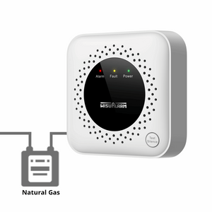 natural gas alarm