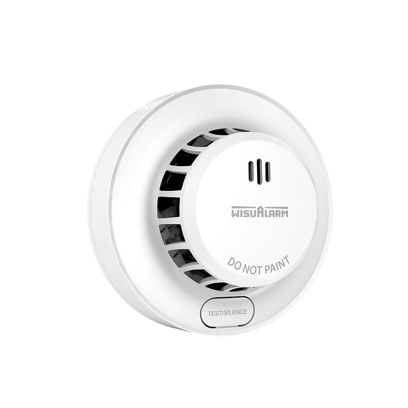 AA Battery Smoke Alarm