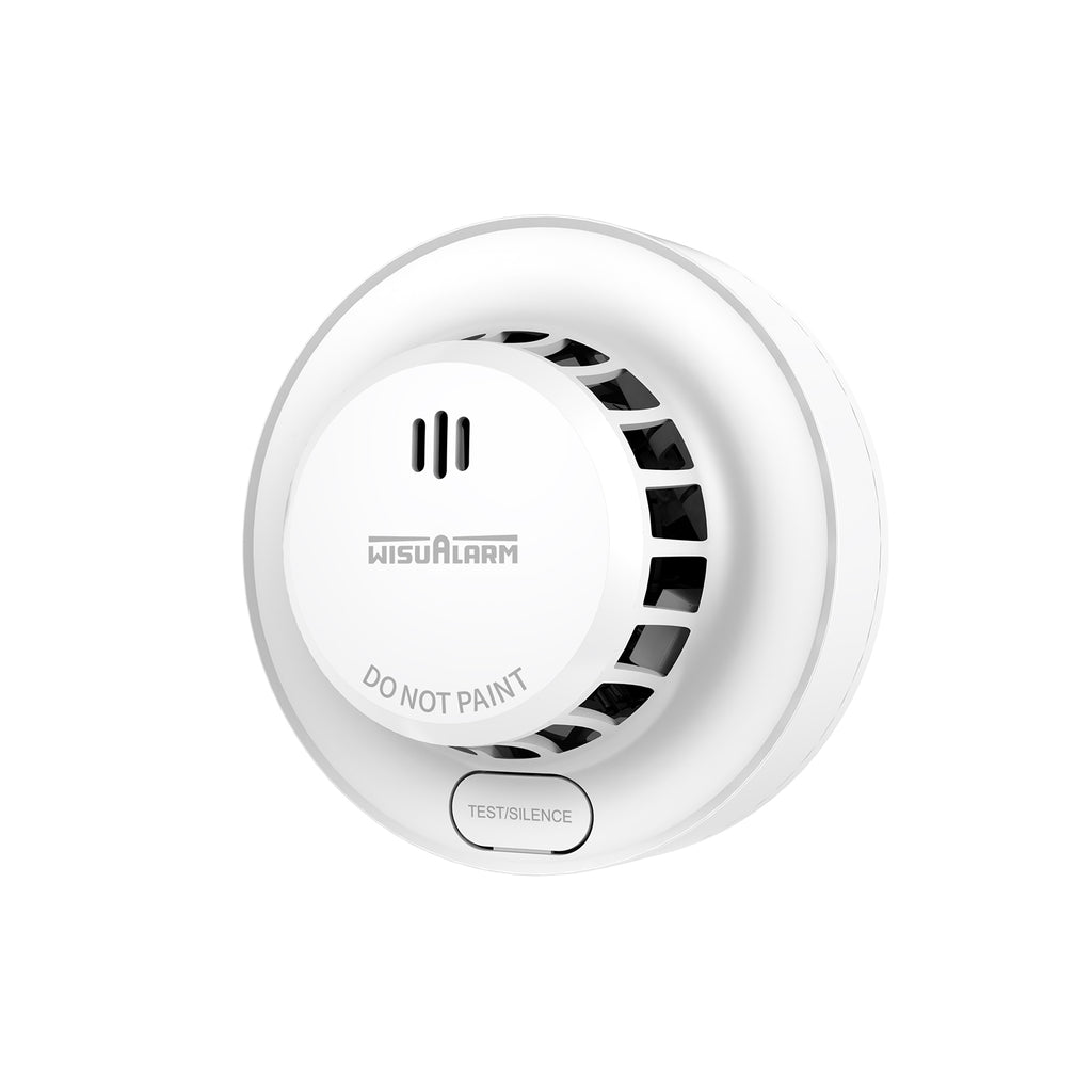 AA Battery Smoke Alarm