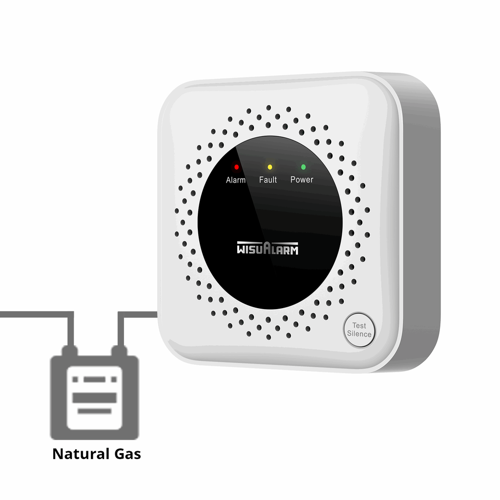Gas Alarm for Methane Detection