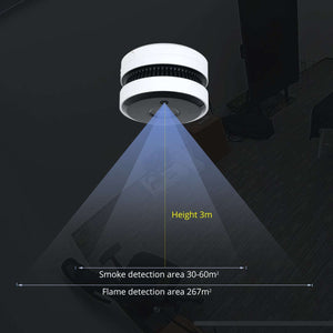 smoke sensing network camera