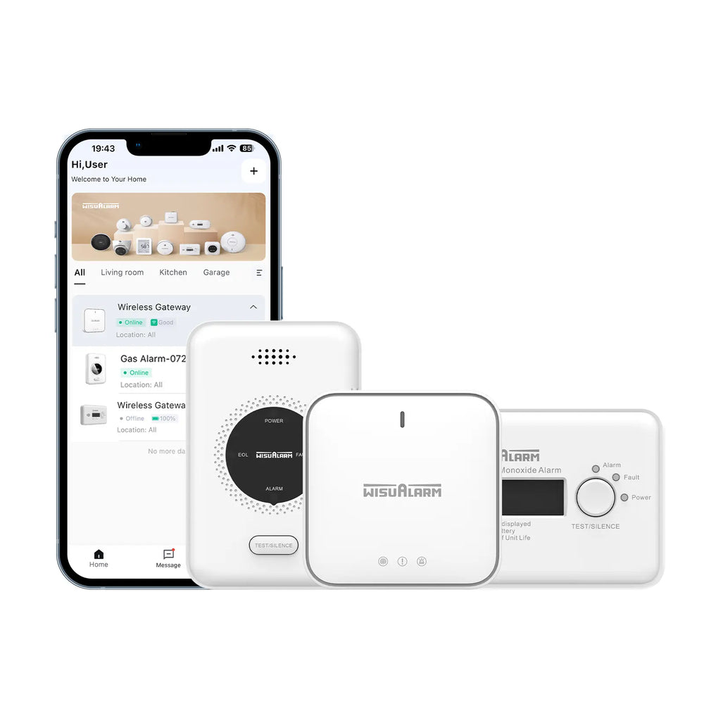 Gateway and 1 CO & 1 Gas Alarm