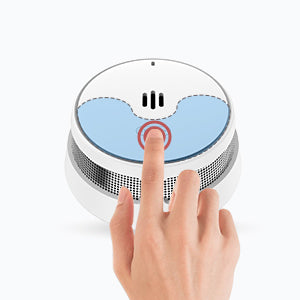 Easy Test, Easy Silence