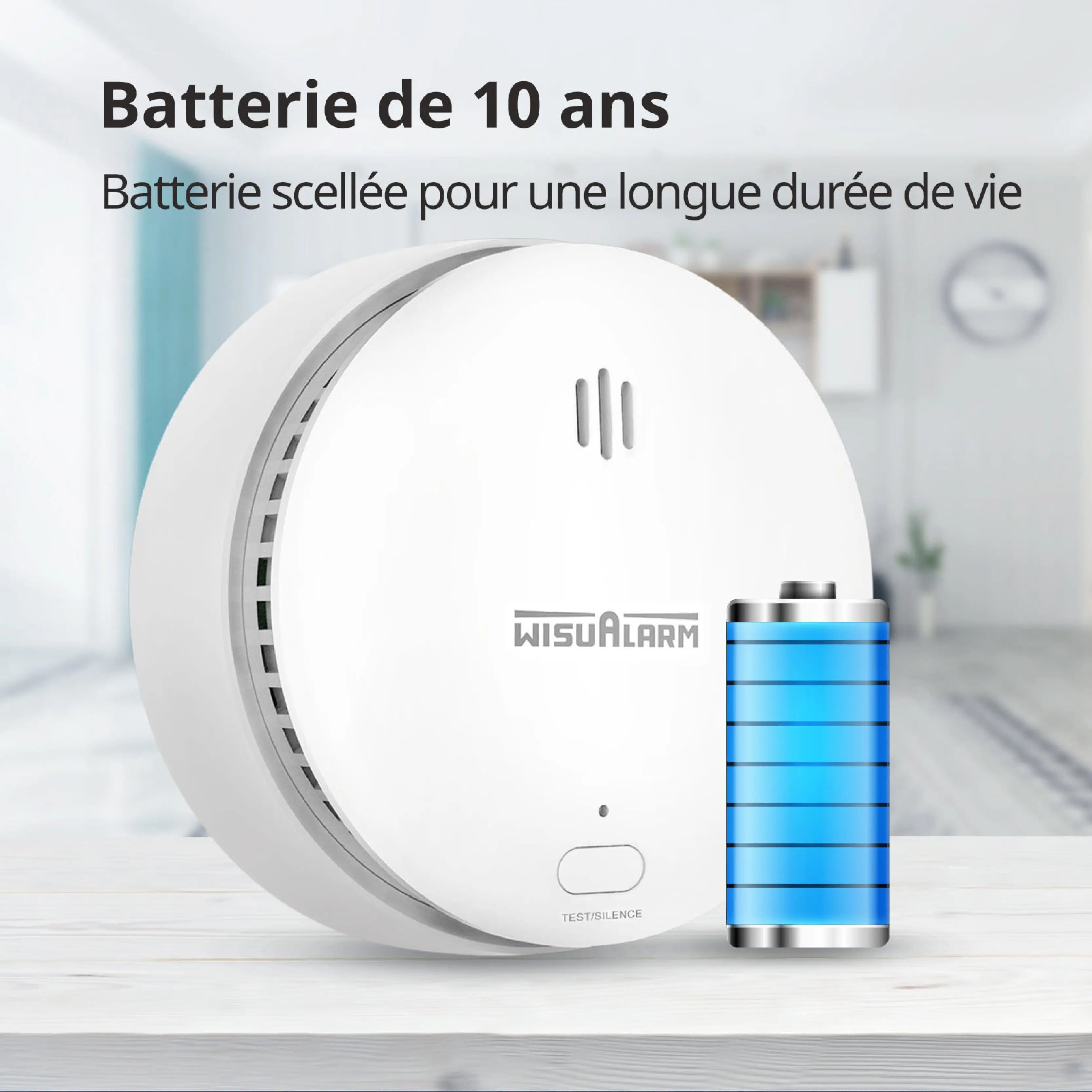 détecteur de fumée batterie de 10 ans