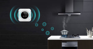 gas alarm Detection of Propane