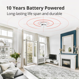 smoke_alarm_large_detection