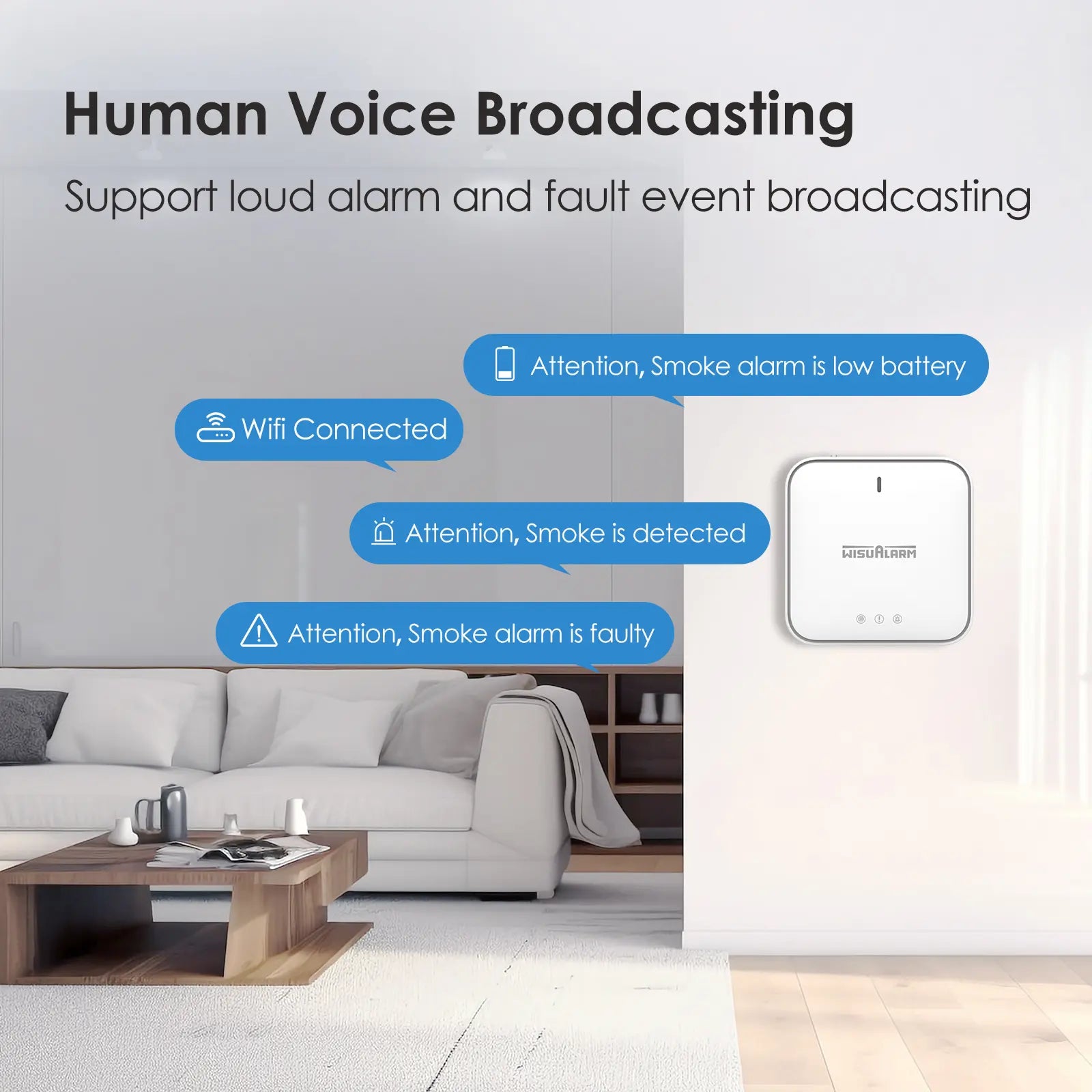 wireless-gateway-with-human-voice-broadcasting-_4