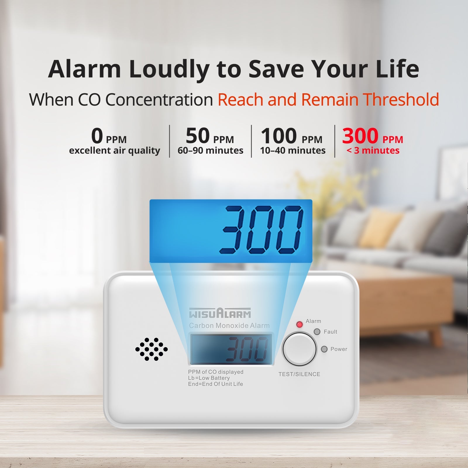 carbon monoxide alarm digital display